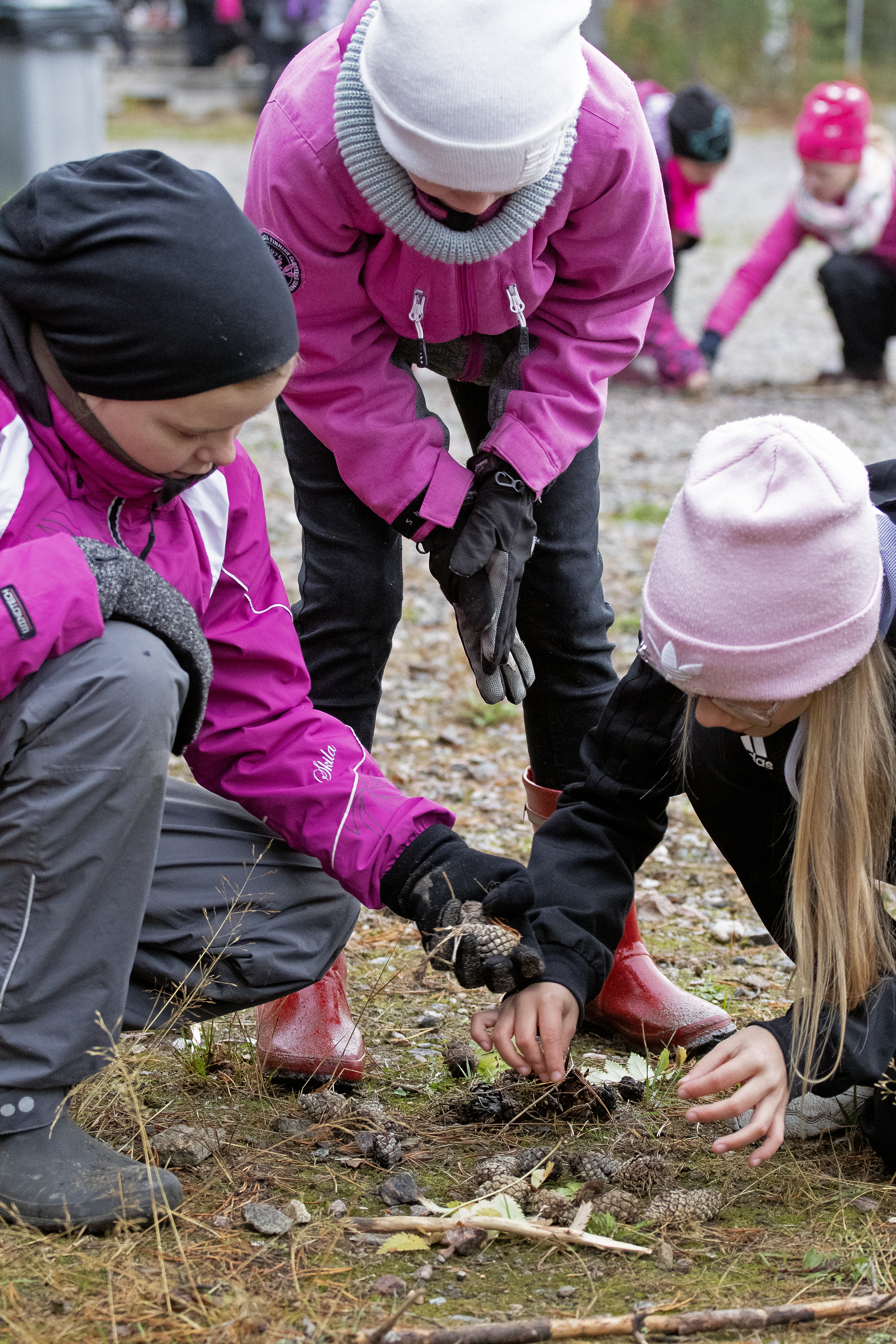 Lumijoen koulun 4. luokan oppilaat viettivät metsäpäivää Rantakylässä Limingassa. Kuvassa Ella Haapanen (vasemmalta), Nelli Tauriainen ja Emilia Jussila.