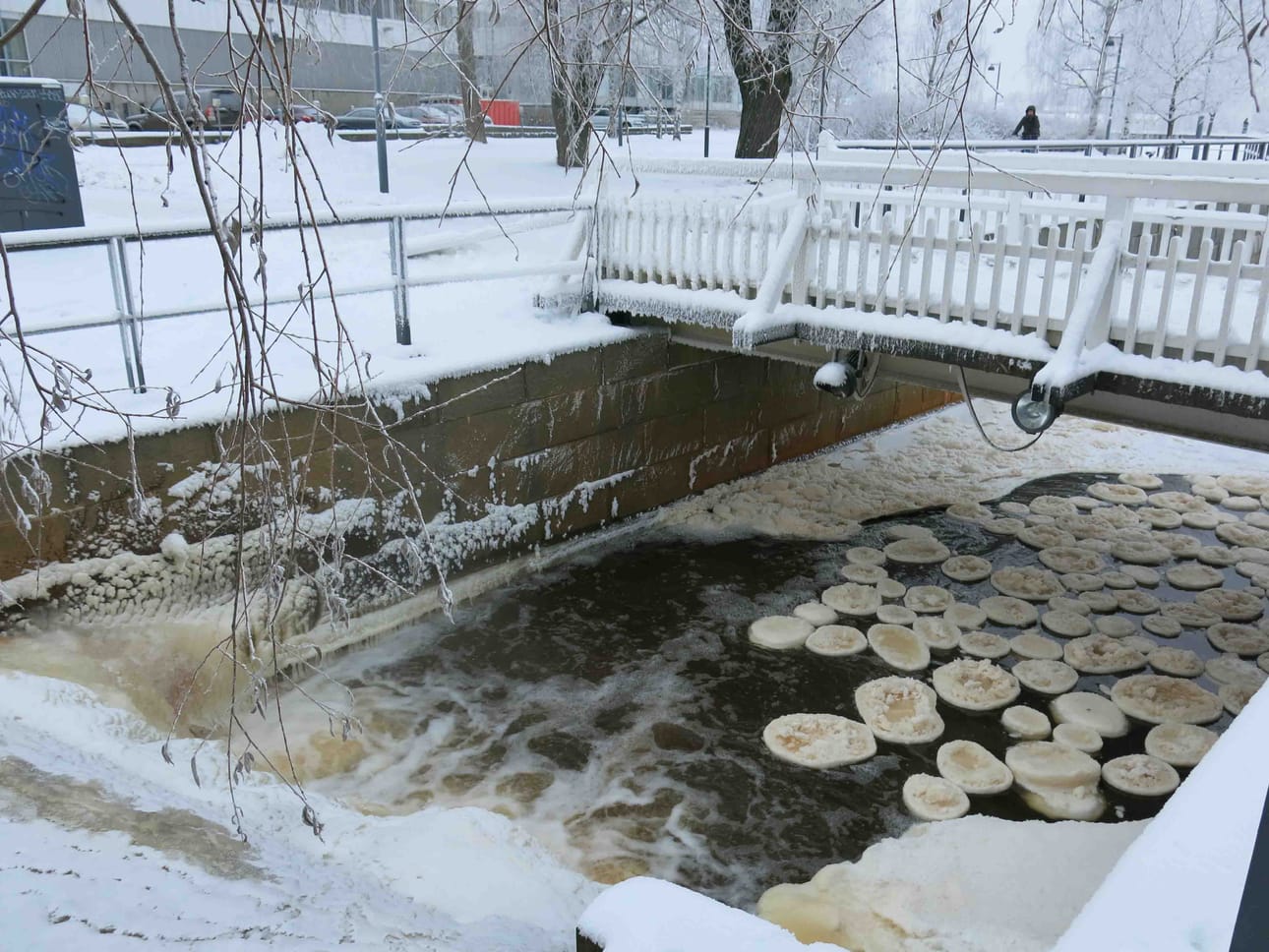 Kalevan lukija kuvasi jäälautasia Plaanaojassa Pokkisenpuiston kohdalla lauantaina.