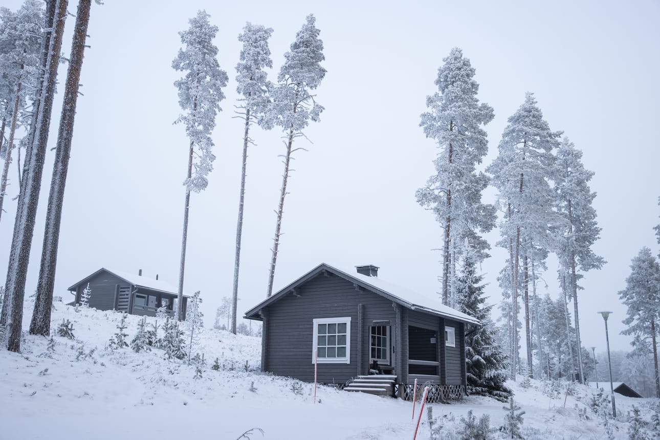 Paula-myrsky kaatoi puuston Kylmäluoman retkeilyalueen mökkien ympäriltä lähes kokonaan.