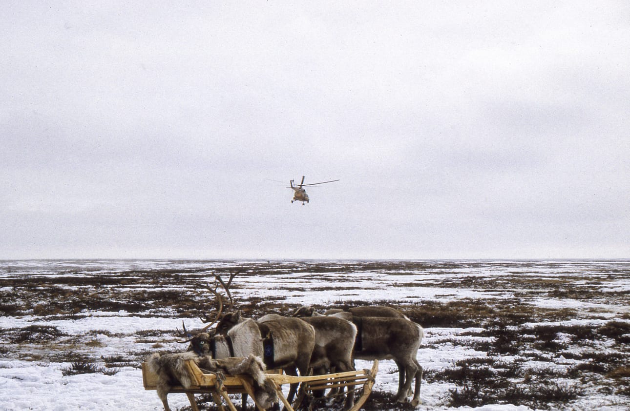Jervin poronhoitajayhteisö kokoontui kevätkokoukseen tundralle. Osallistujia tuli niin reellä kuin helikopterillakin.