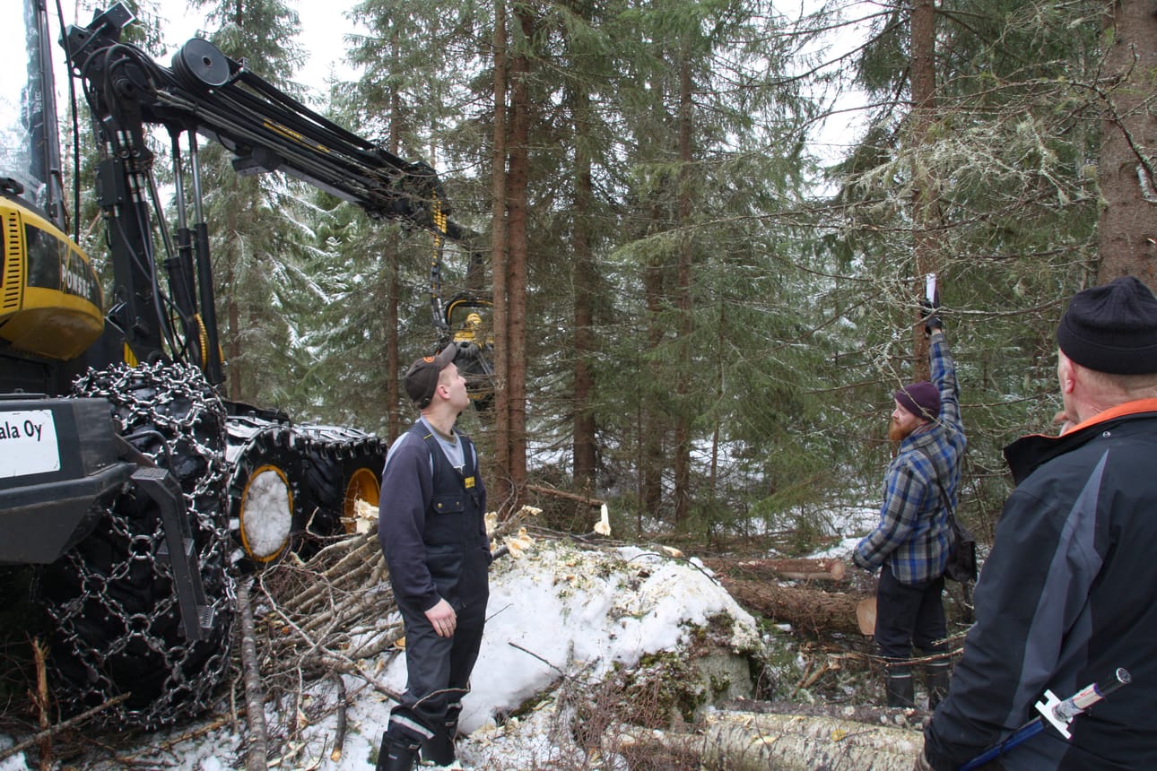 Jyväskylän yliopiston koordinoima kansainvälinen tutkimusprojekti etsii kestäviä metsäpolitiikan keinoja, joilla voidaan sovittaa yhteen biotalouslinjauksen metsähakkuiden lisäämistavoitteet ja luonnon monimuotoisuuden turvaaminen. Arkistokuva Sari Junnonaho