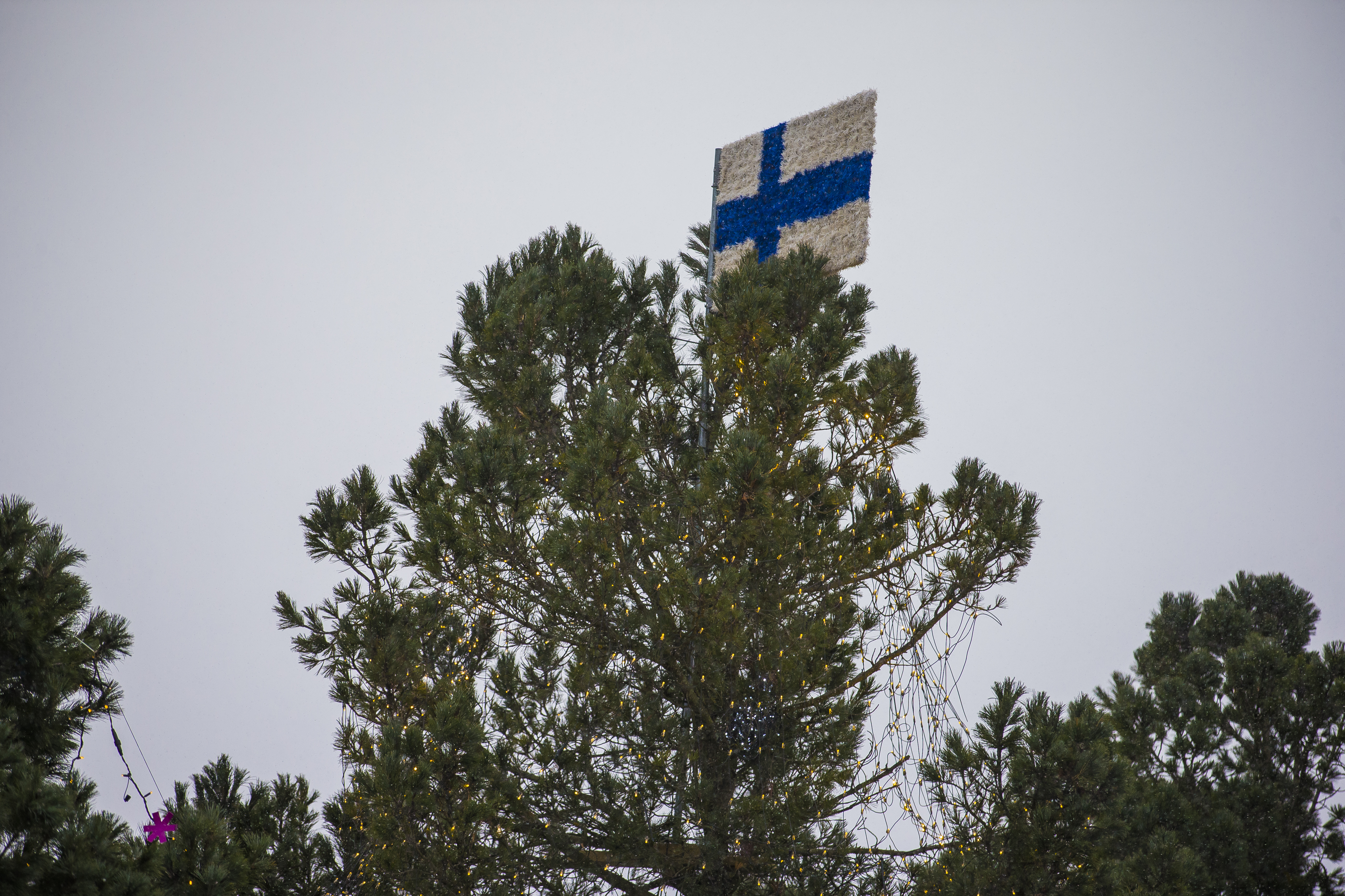 Raahen Energian joulupuu.