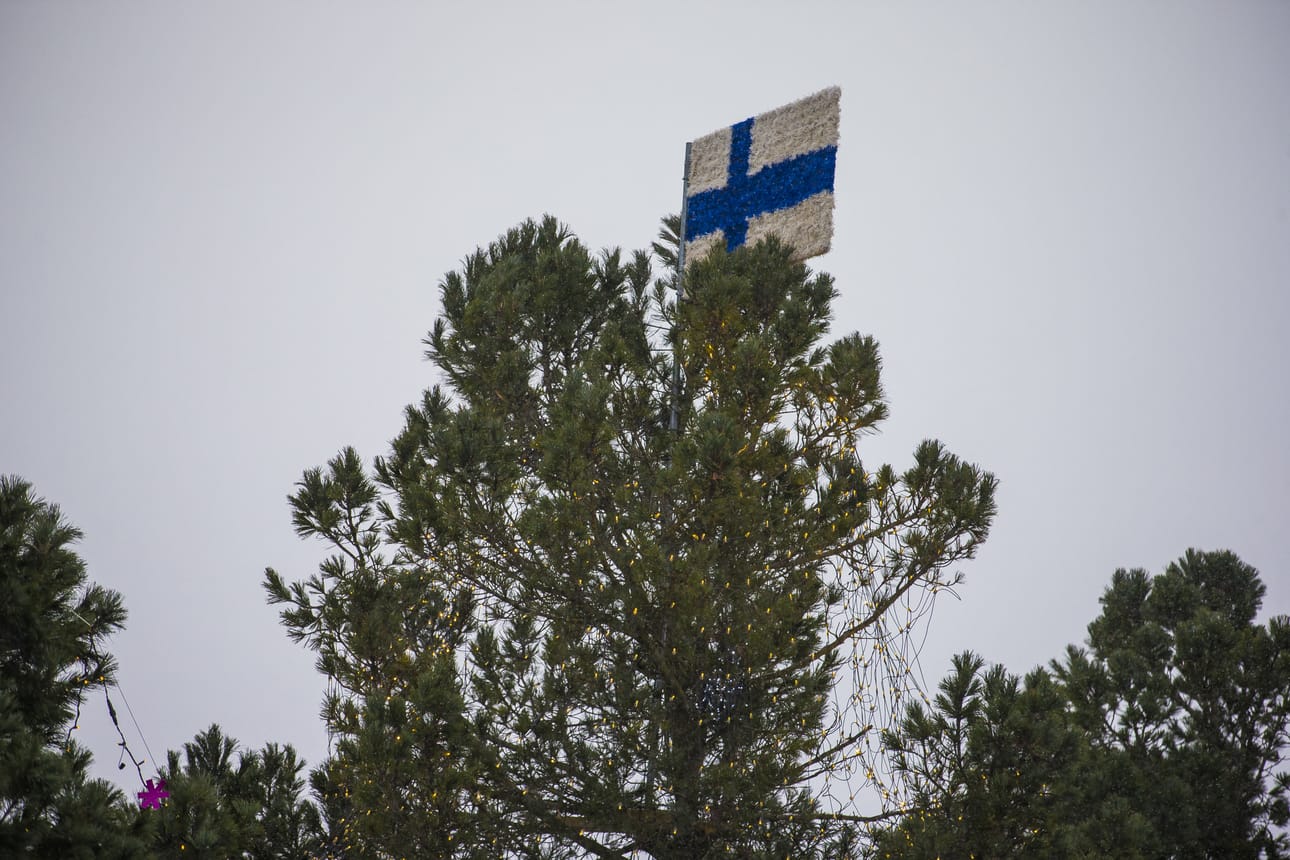 Raahen Energian joulupuu.