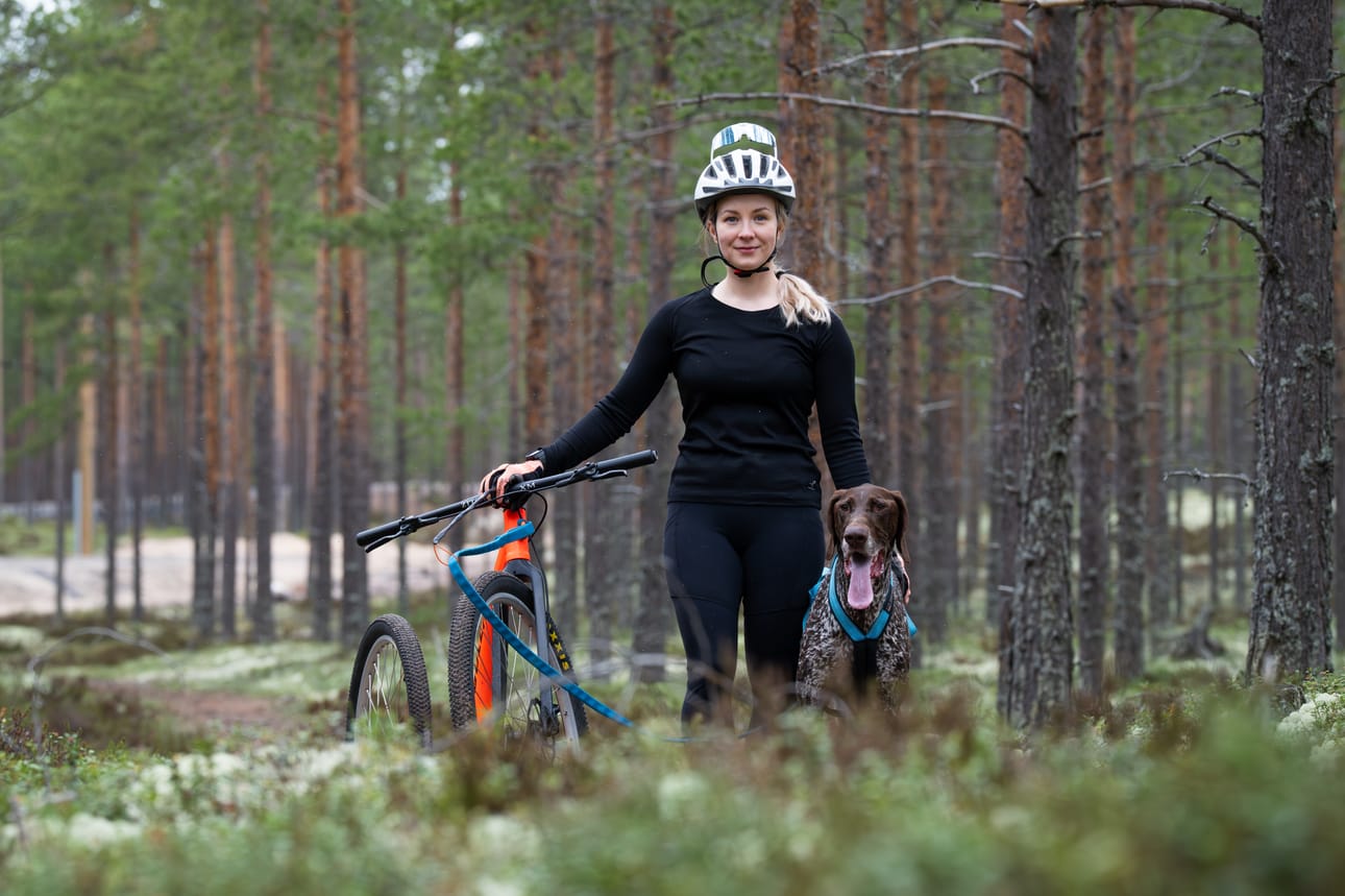 Noora Holmström ja Jare ovat voittaneet kolme Suomen mestaruutta koirahiihdossa. Ensimmäinen mestaruus vuonna 2024 on edelleen yksi Holmströmin uran hienoimmista hetkistä.