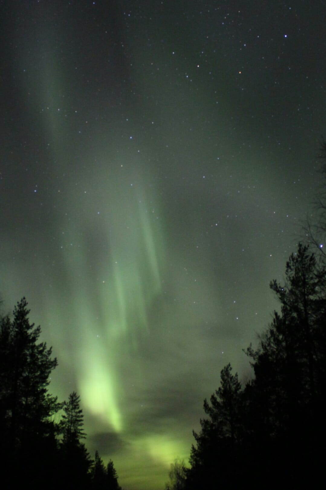 Revontulet kuvattu Kuusamossa 28.1.2017. Kuvaajana Koillissanomien TET-työntekijä Iida Määttä.
