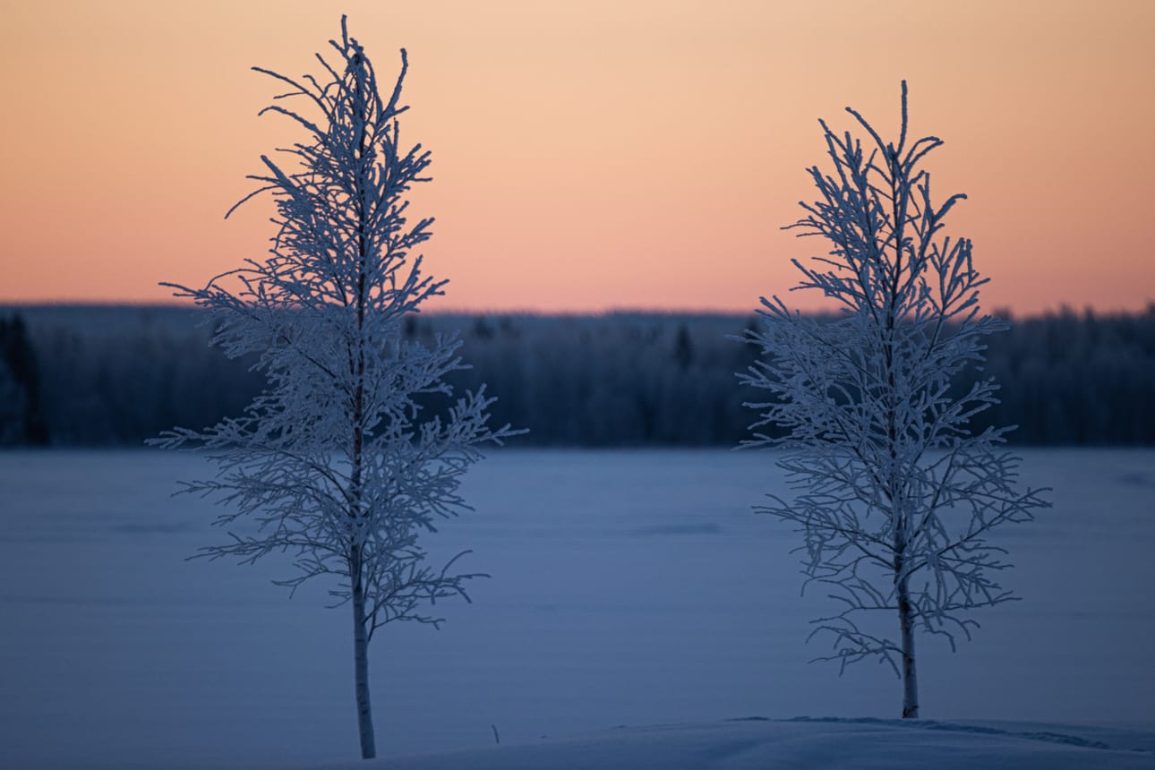 Pakkaset tekevät paluun alkavalla viikolla.