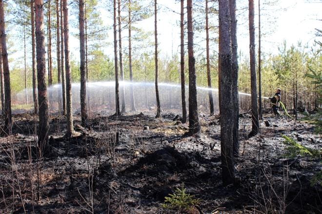 ARKISTOKUVA: KUVA: LOTTA KALLIO
