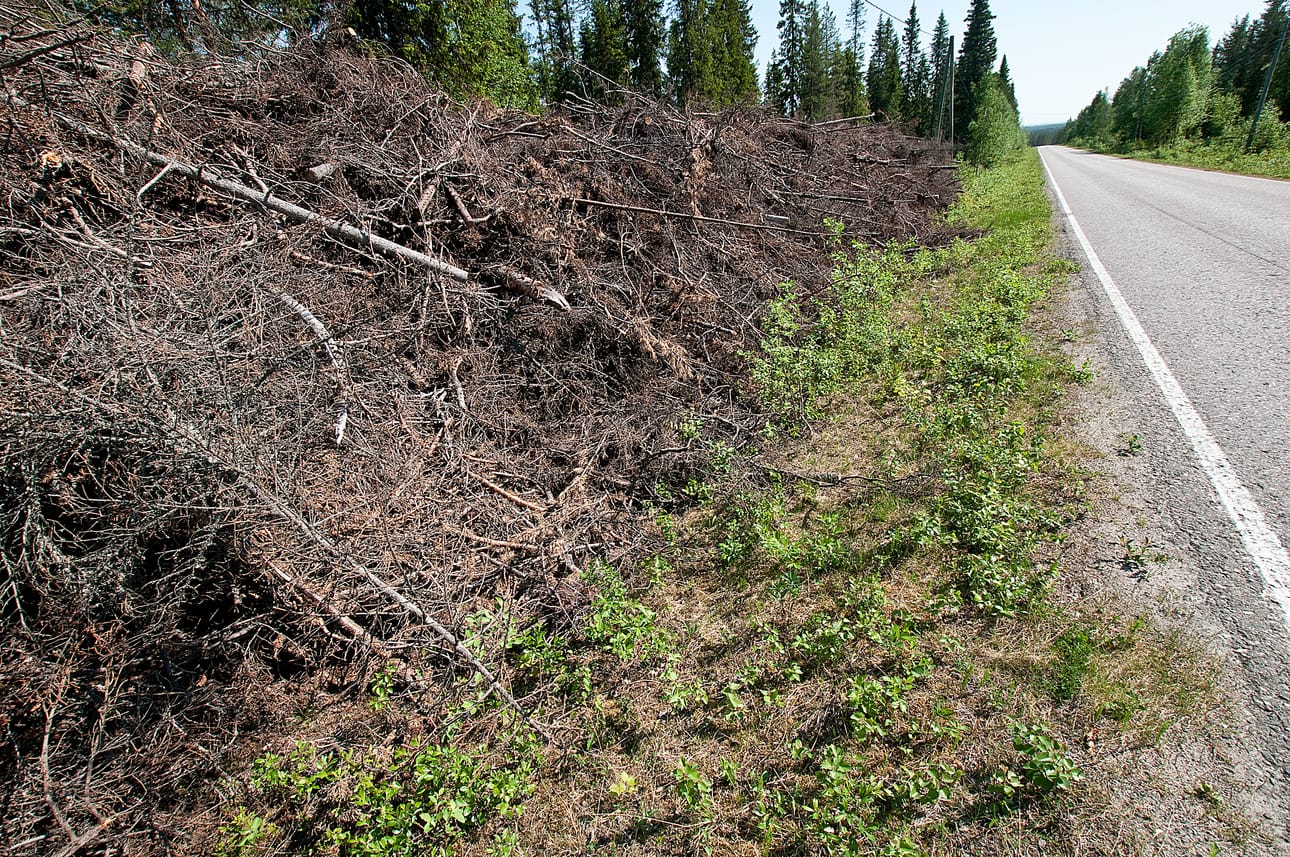 Energiapuuta kasvaa metsät väärällään. Kysymys on siitä, miten puu saadaan metsästä polttokattilaan kannattavasti.