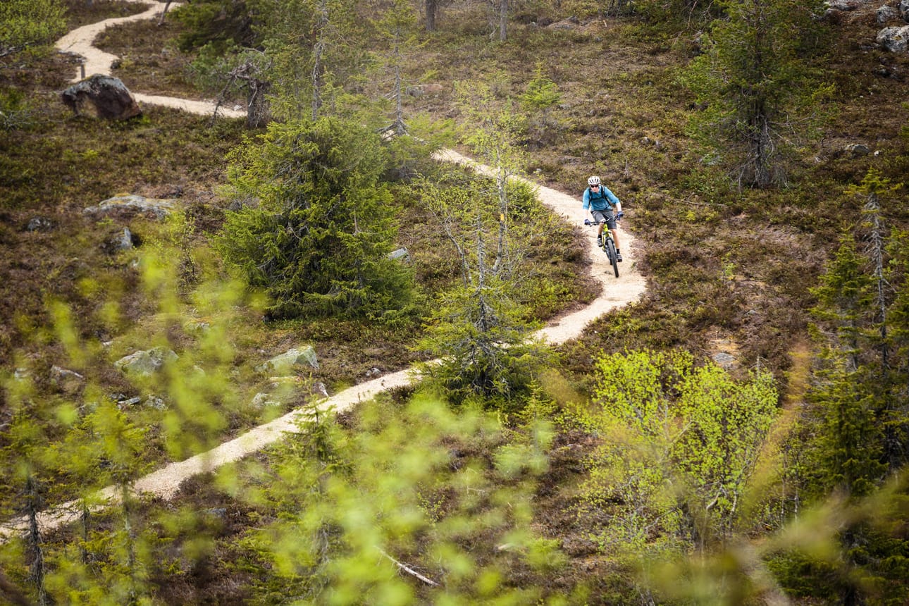 Metsähallituksen mukaan reittien kestävöintityöt ovat paikoin välttämättömiä, jotta polut ja niitä reunustava herkkä luonto kestävät kasvavan kävijäpaineen.