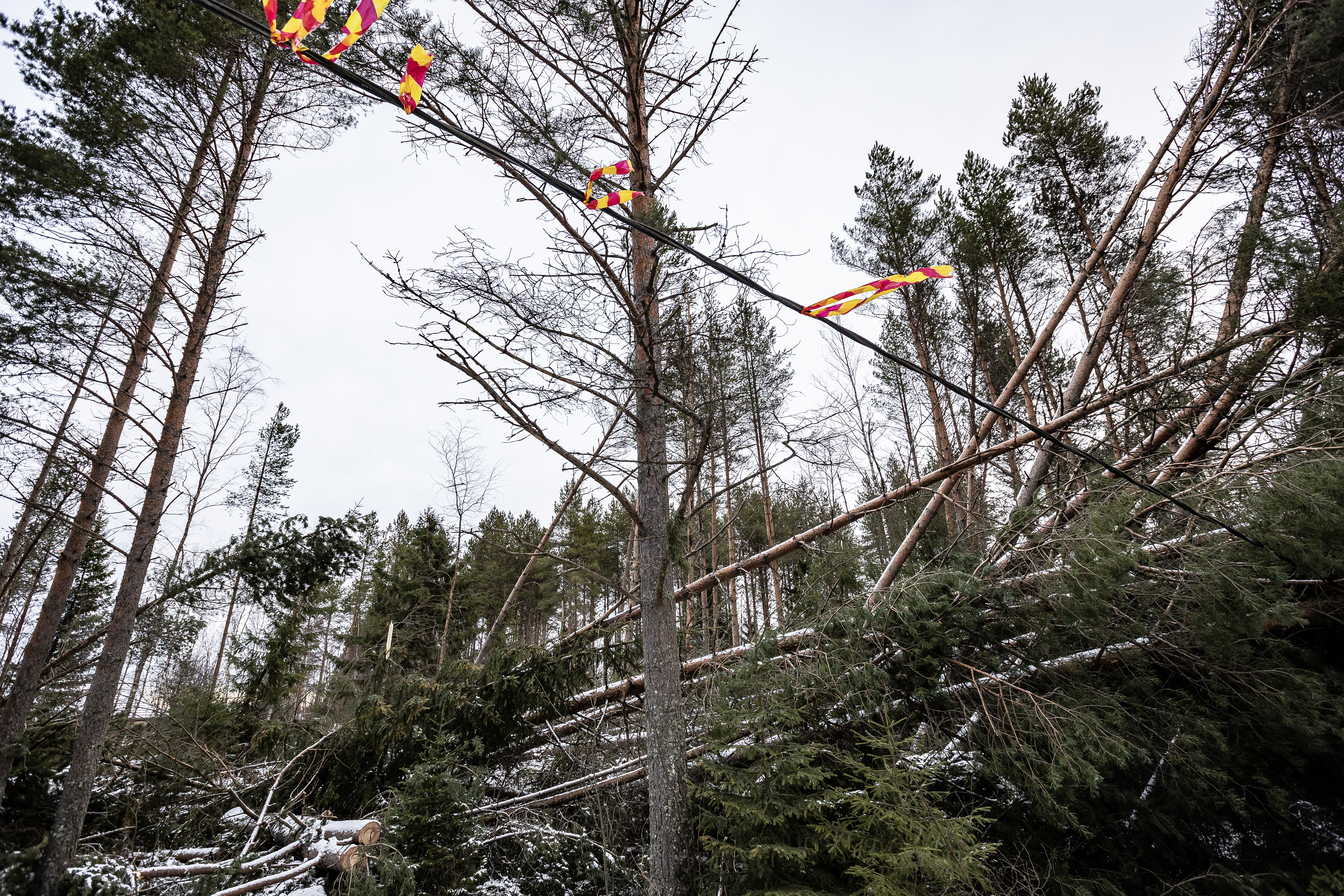 Pohjois-Pohjanmaan eteläosissa on yhä sähkökatkoja – eniten sähköttömiä asiakkaita on Elenialla