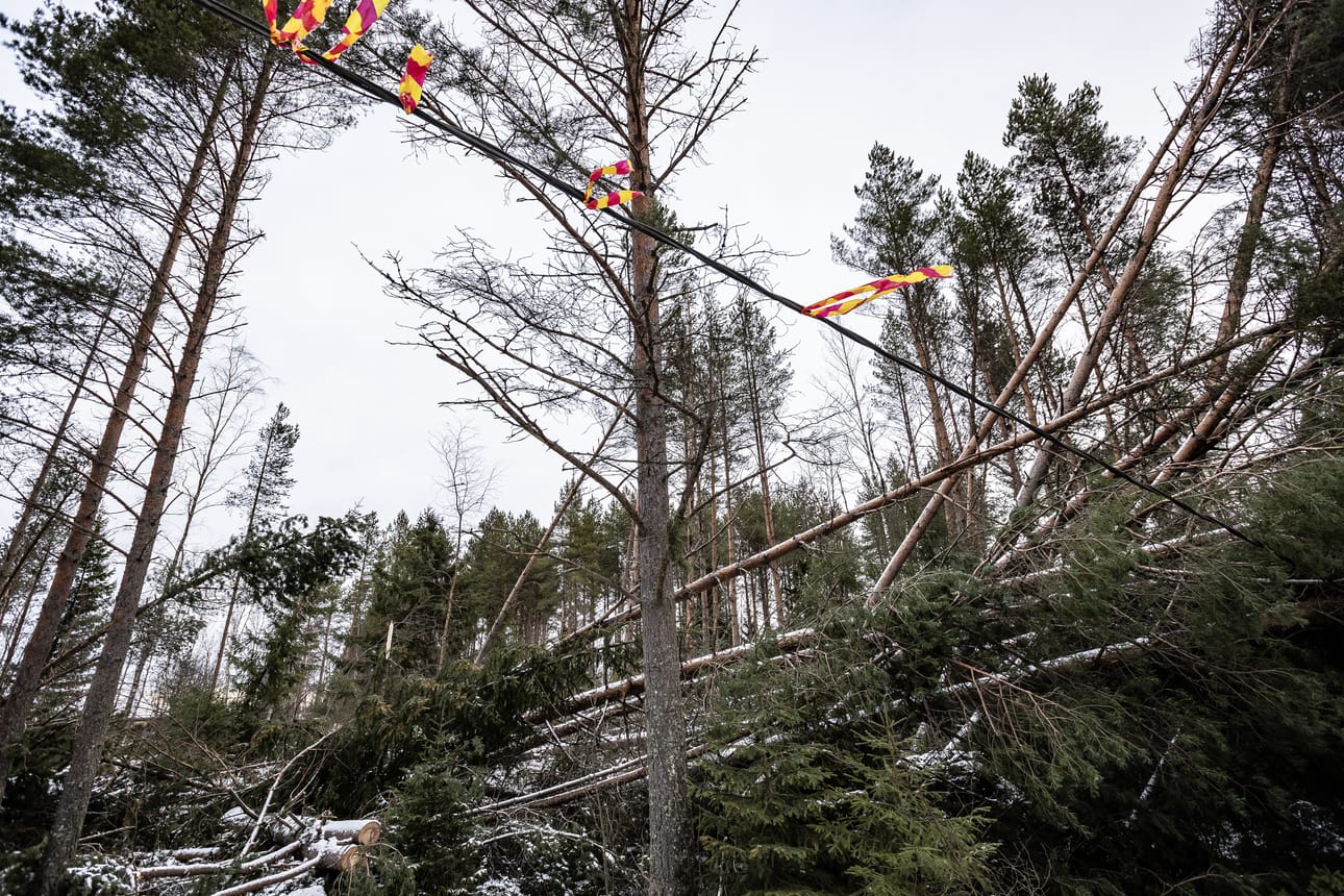 Hannes-myrsky aiheutti laajoja tuhoja ympäri maan. Kuvassa myrskytuhoja Raahessa.