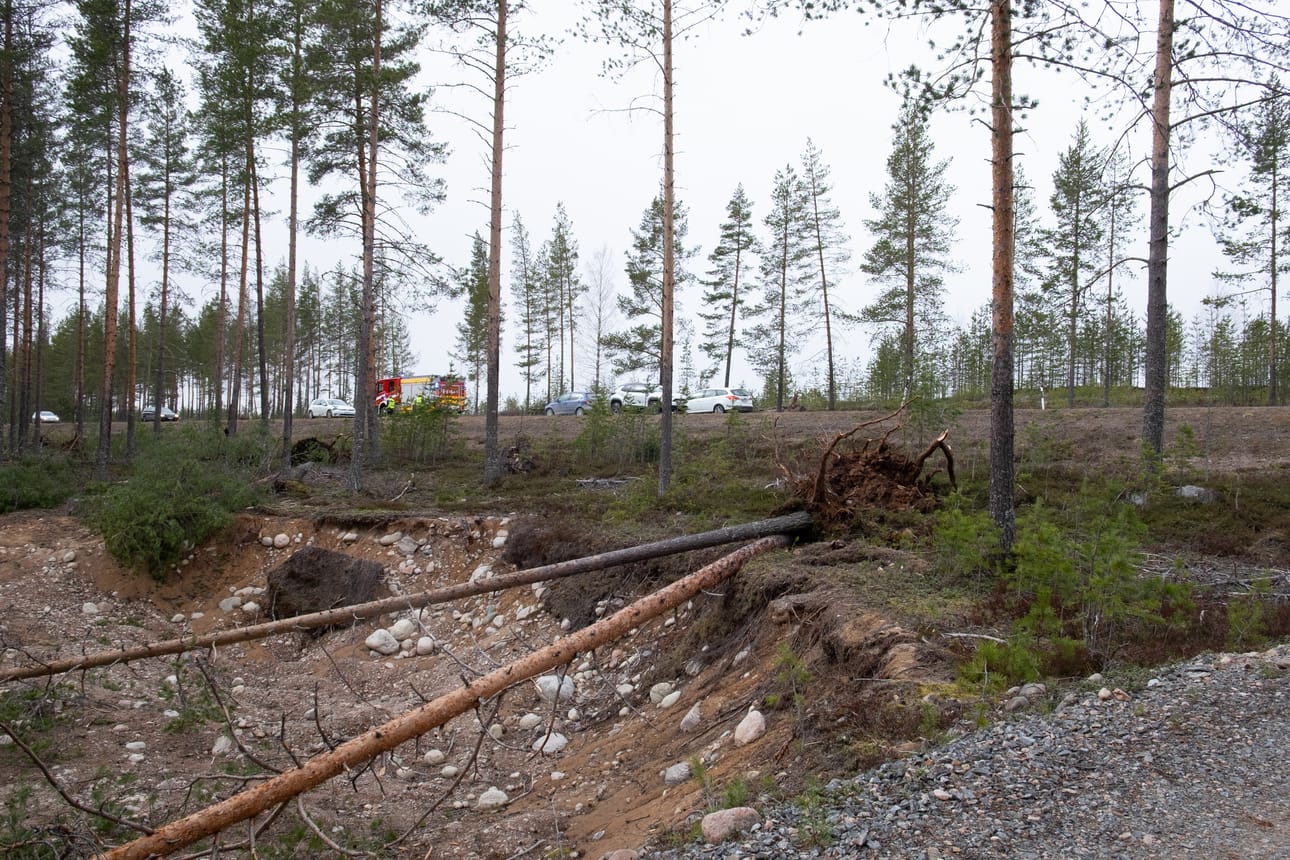 Pudasjärvellä puut kaatuivat Kuusamontielle tuulen voimasta.