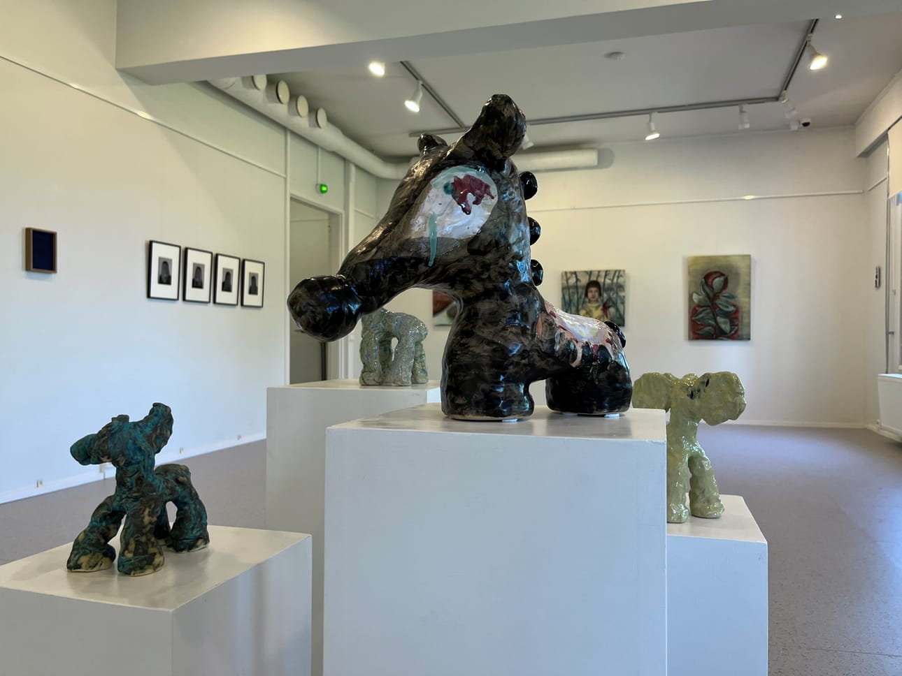 Taidekokoelmassa on niin valokuvia, veistoksia, maalauksia kuin myös videoteoksia ja grafiikkaa sekä metalli- ja puureliefejä.