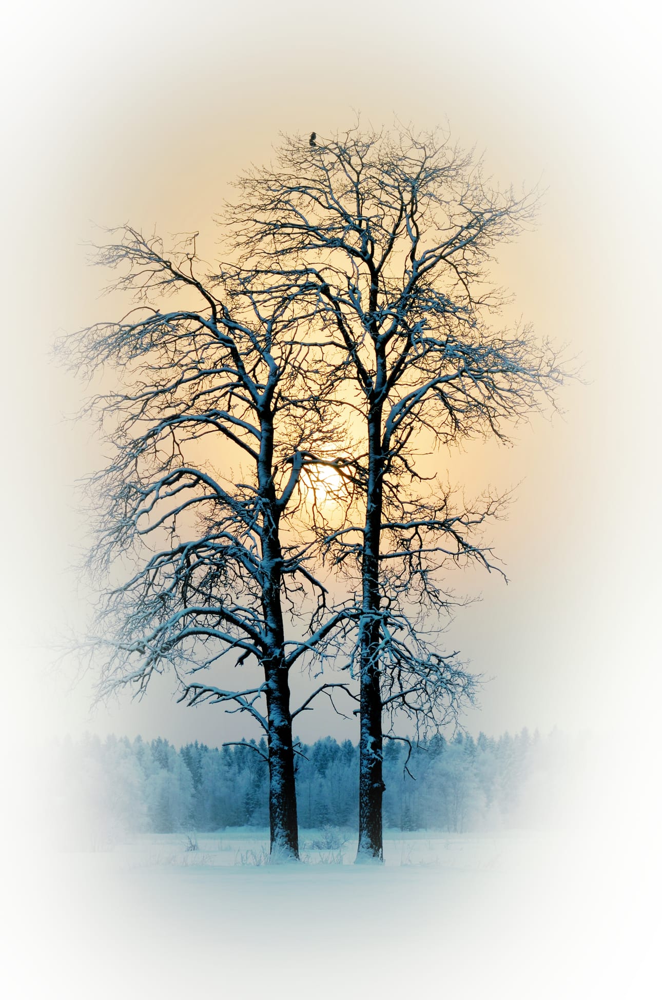 Tammikuisen pakkaspäivän ikuisti Arimo Eklund.