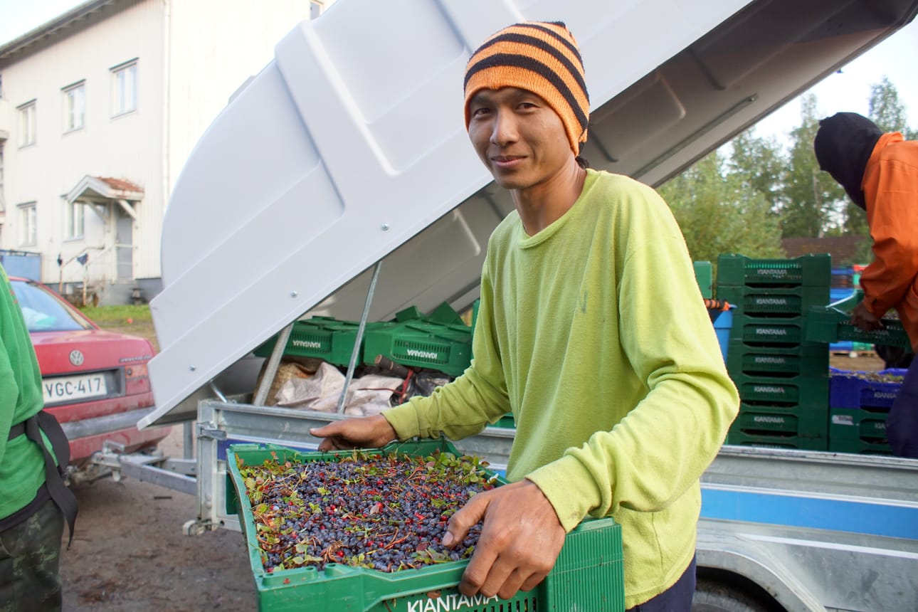 Weerapon Sawisain keskimääräinen päiväsaalis oli 140 kiloa, siis monta, monta täyttä laatikollista.