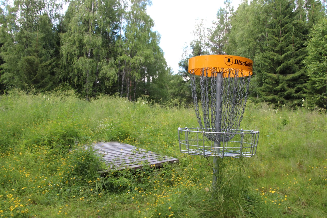 Honkamajalla olevan frisbeegolfradan kunto herätti kummeksuntaa myös viime kesänä. Heinittyminen on arkipäivää kentällä nytkin, mutta tilanteeseen on tulossa muutos.