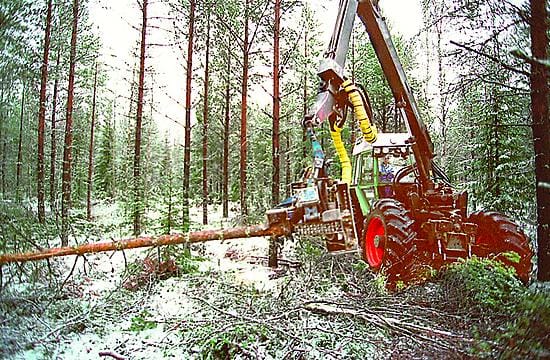 Koko metsäsektorin työllisyys vähenee Suomessa noin 10 000 henkilötyövuodella vuoteen 2015 mennessä tuottavuuden kasvun vuoksi.