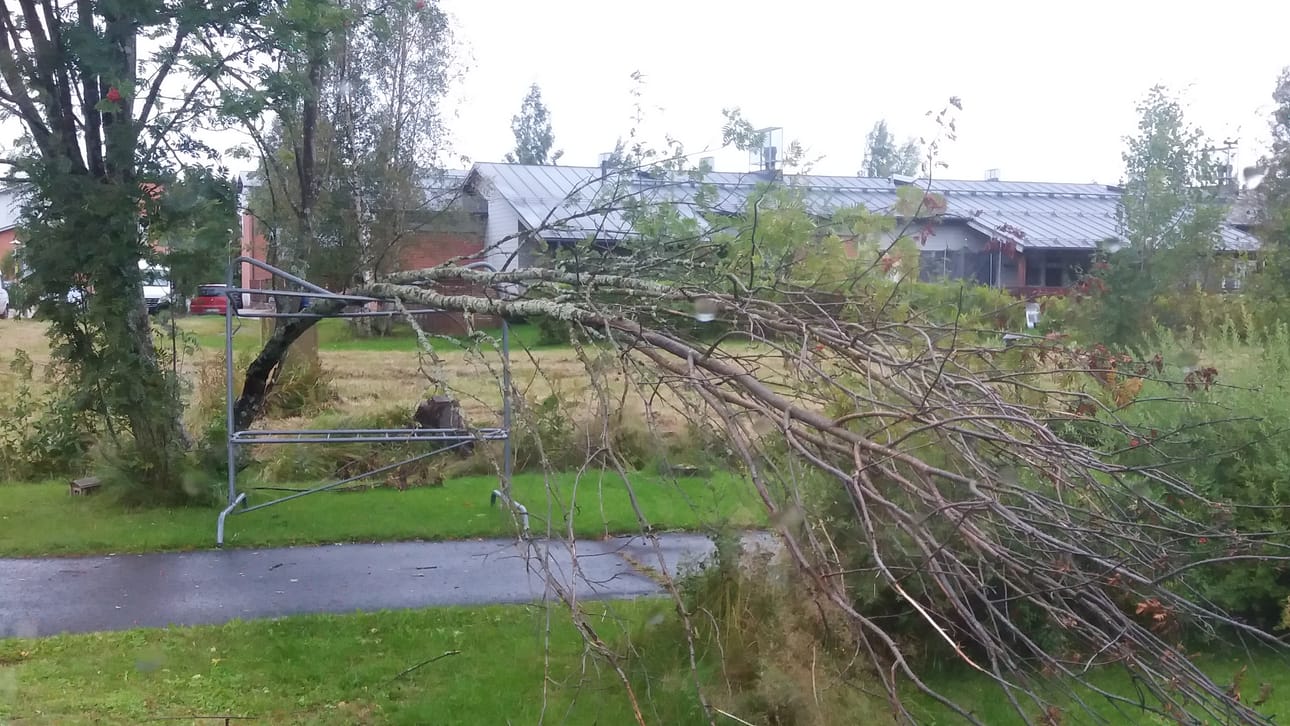 Kalevan lukija kuvasi Rauli-myrskyn tekemiä tuhoja Oulunsalossa.