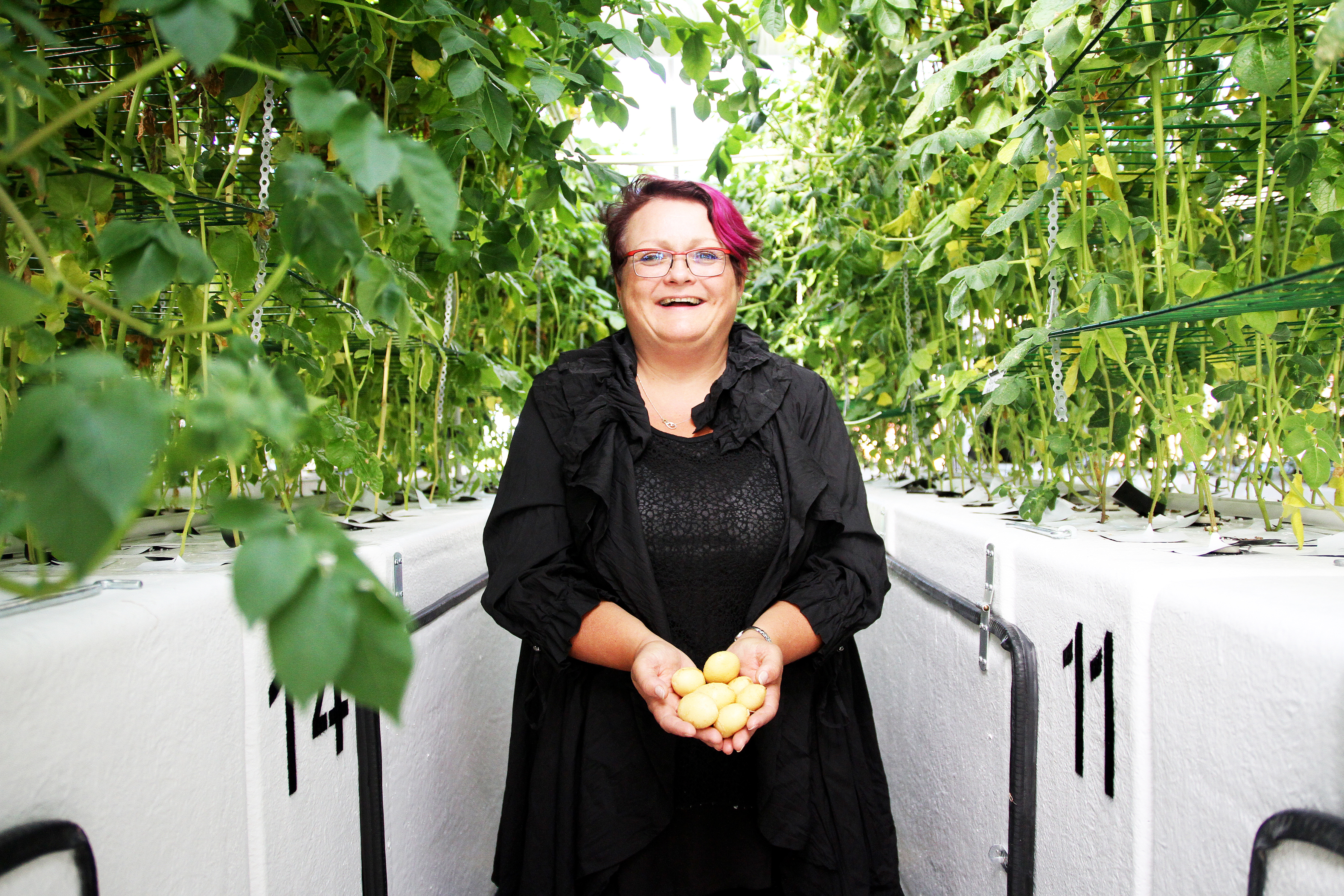 Paula Ilola uskoo, että aeroponisessa menetelmässä on siemenperunan tulevaisuus.