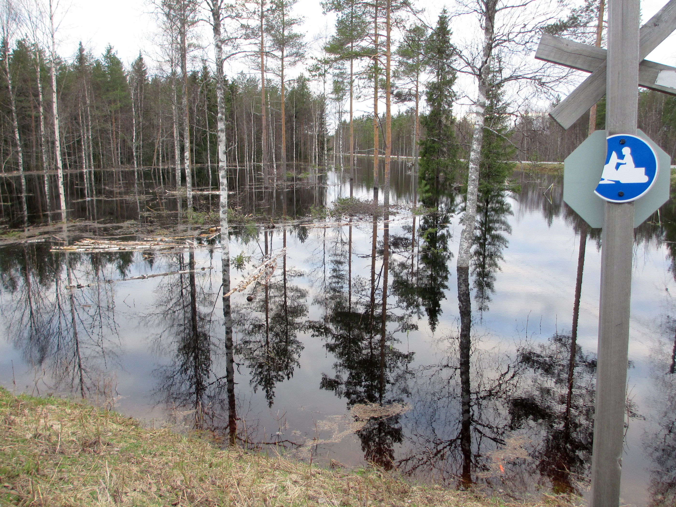 Eikä moottorikelkkailu.