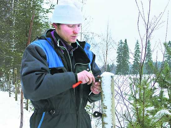 Isäntä. Antti Hankonen kiristää eristintä tolppaan. "Susia ei pitäisi olla siellä, missä on ihmisiä ja karjaa", hän painottaa.