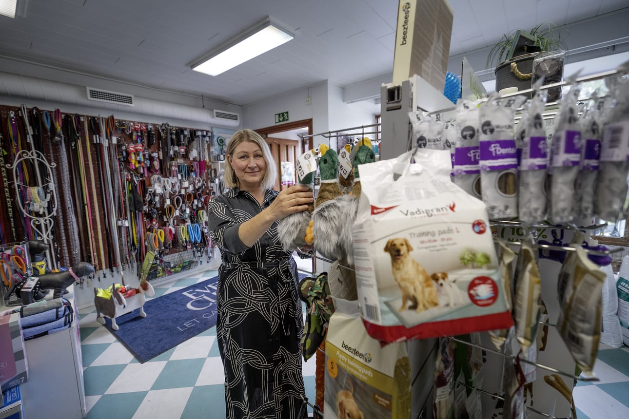 Lemmikkipuoti Woof'sin omistaja Marika Varjamo kertoo, että palattuaan töihin Provinssin jälkeen on ikkunoissa ollut ihmisten ulostetta ja vessapaperia.