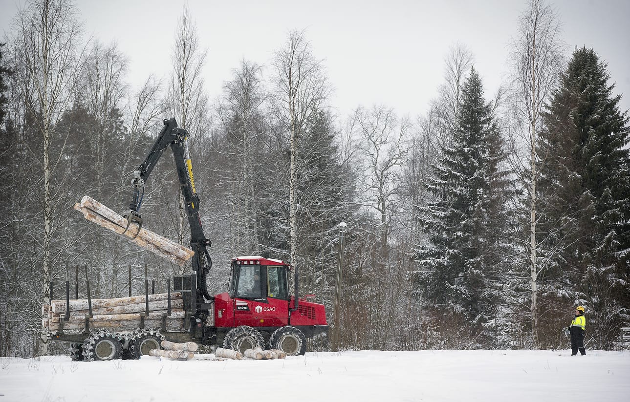 Ammatillisen koulutuksen ja lukiokoulutuksen yhteishaku alkaa 20.2. Kuva on metsäkoneenkäytön Taitaja-kilpailusta Oulun seudun ammattiopiston Muhoksen yksikössä.