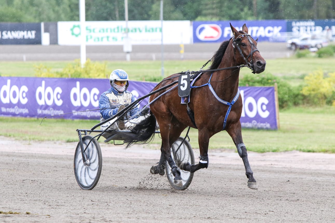 Hazelhen Hermes juhli Käpylä GP:ssä.