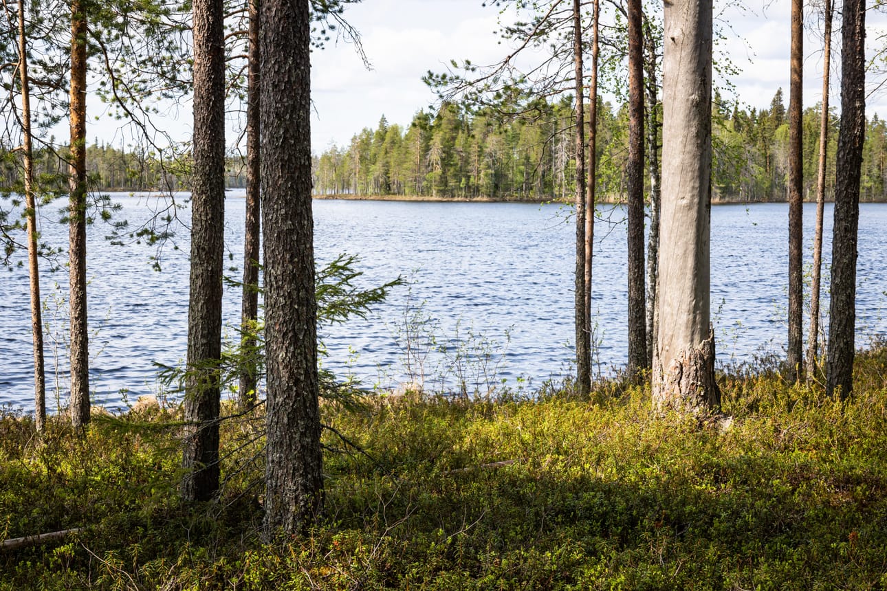 Saarijärven Jääkärisaaressa on vanha lukittu piilopirtti. Saareen pääsee vain uiden tai esimerkiksi omalla packraftilla.
