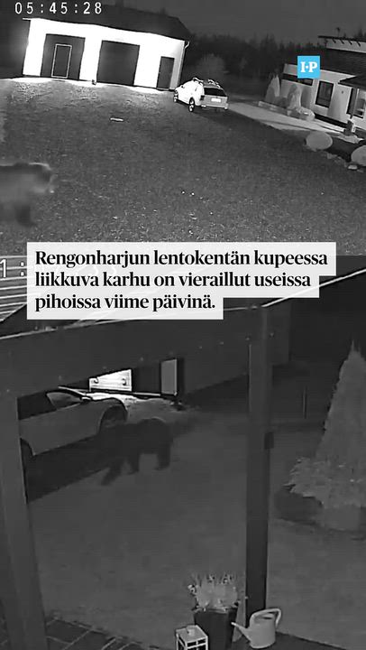 Karhu tallentui videokameralle