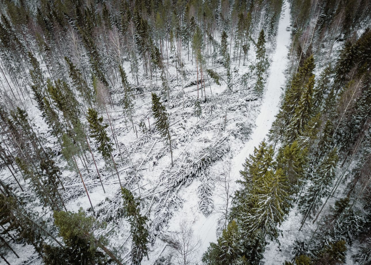 Energiateollisuuden mukaan Hannes oli sähkökatkoiltaan yksi 2000-luvun pahimmista myrskyistä. Etelä-Pohjanmaalla ja Pohjanmaalla sähköyhtiöillä on yhä satoja asiakkaita ilman sähköä.