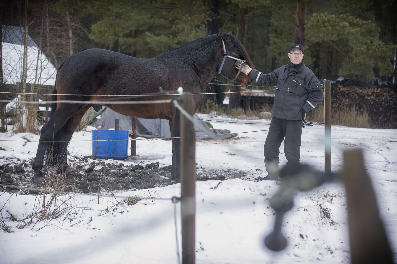 Tyrnäväläisen ravitalliyrittäjän Pertti Heikkisen mielestä lähelle tuleva uusi hevosalue tuo myös alueen hevosalan yrityksille lisää palveluja.
