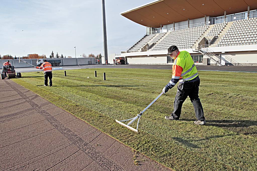 Raatin uusitun stadionin siirtonurmen asennus alkoi maanantaina.