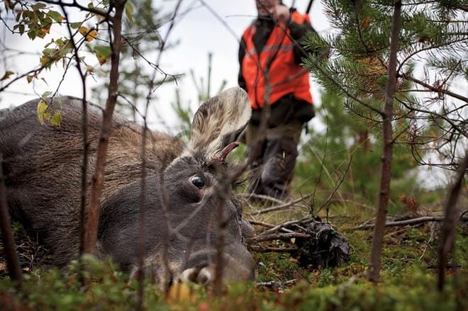 Kuva ei liity tapaukseen. Kuvituskuva.
