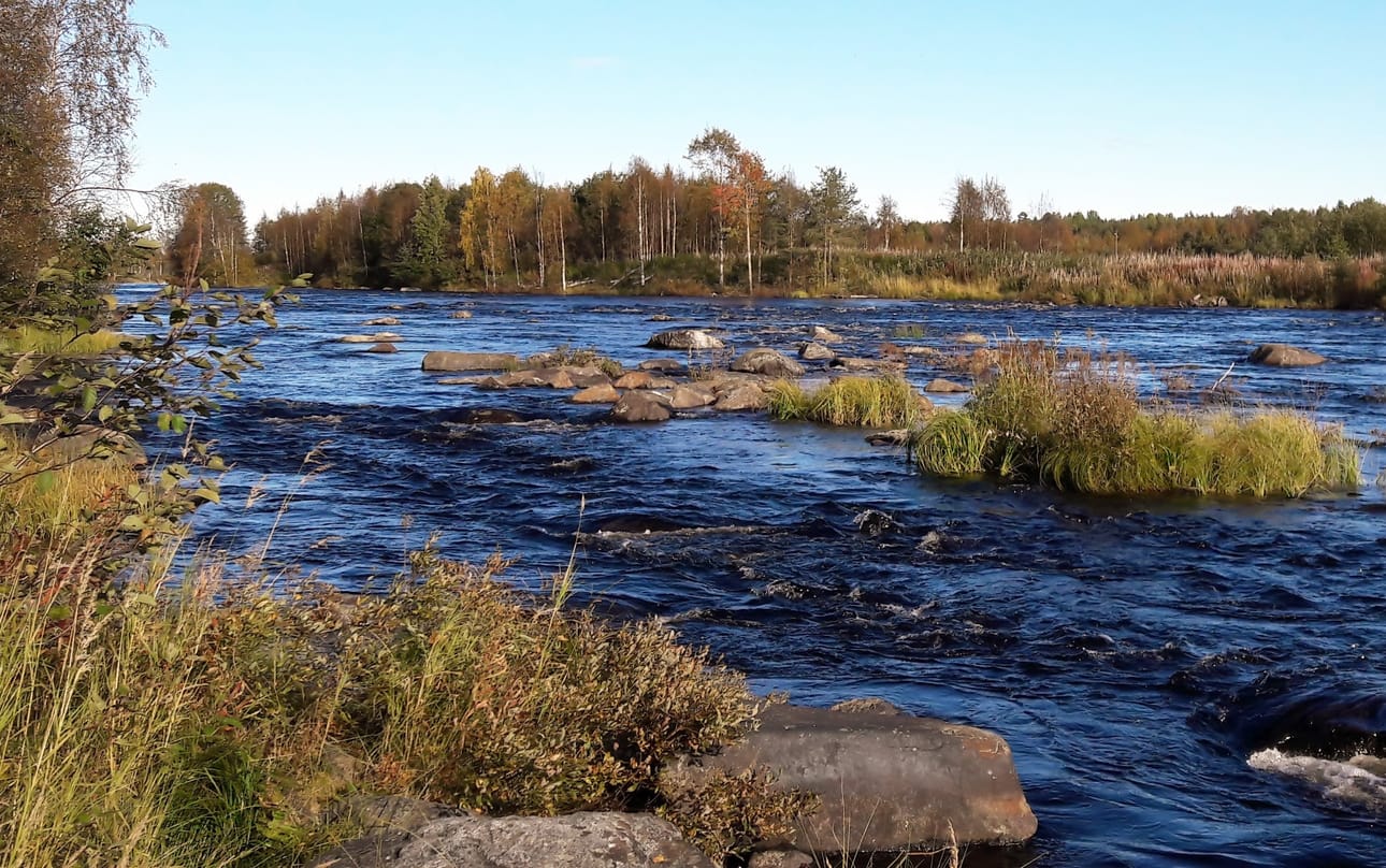 Iijoki on valittu yhdeksi Suomen luonnon sadasta luontohelmestä.