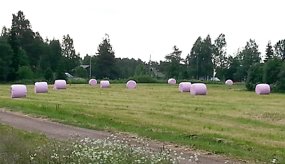 Vaaleanpunaiset pyöröpaalit bongattu Taipaleenharjussa! Vaaleanpunaisilla käärintämuoveilla tuetaan rintasyöpään sairastuneita naisia. Jokaisesta myydystä kalvorullasta lahjoitetaan kolme euroa Rintasyöpäyhdistykselle ja teemaan liittyen lanseerattiin myös kampanja Pinkit paalit.