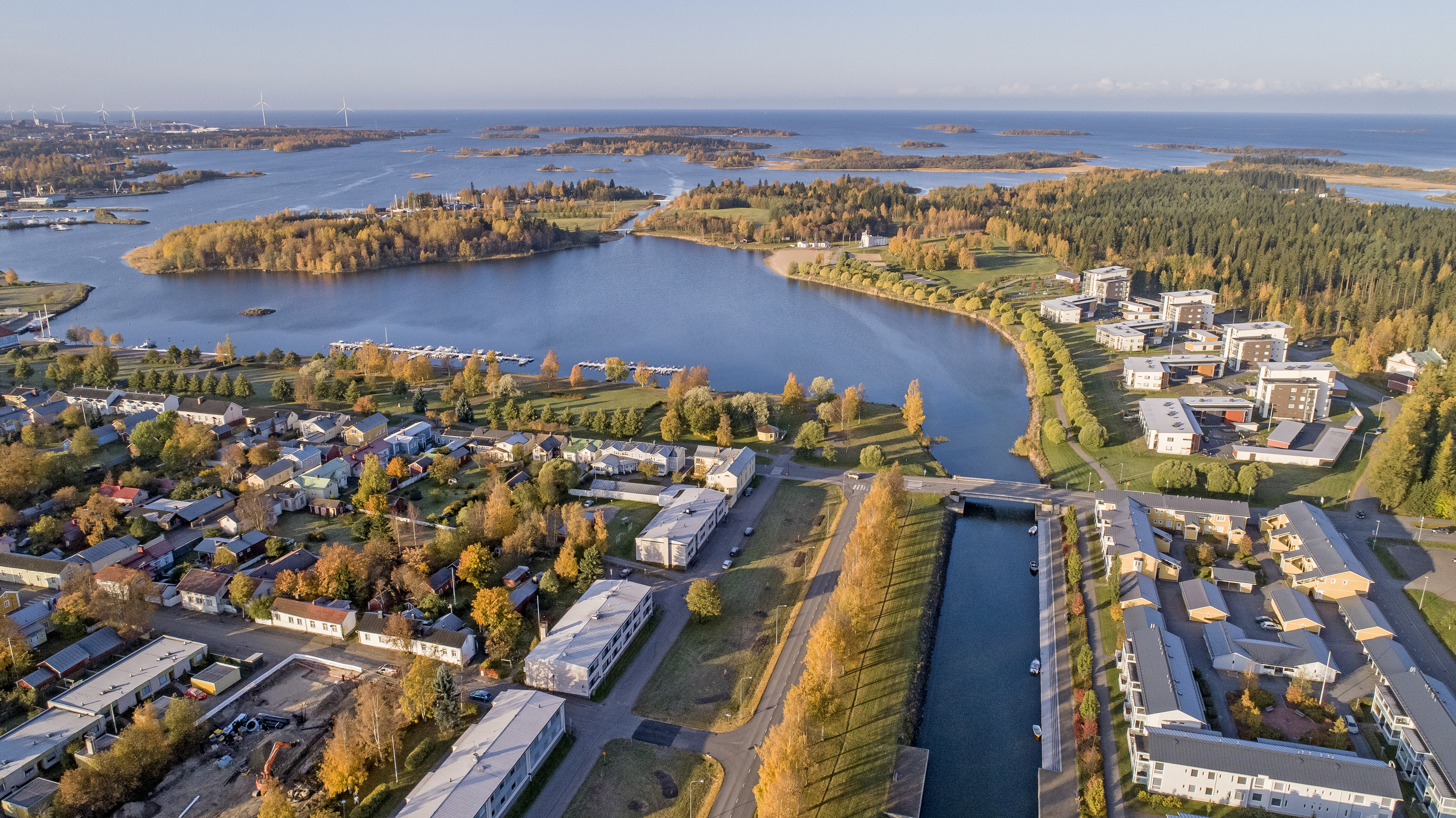 Aina ei ruska ole heleä ja kirkas, vaan joskus rumanruskea. Toisinaan taas talvi yllättää puut ja lehdet putoavat vihreinä ilman, että puu ehtii ottaa ravintoaineita talteen. Tänä syksynä talvehtiminen on selvästi alkanut onnistuneesti. 
