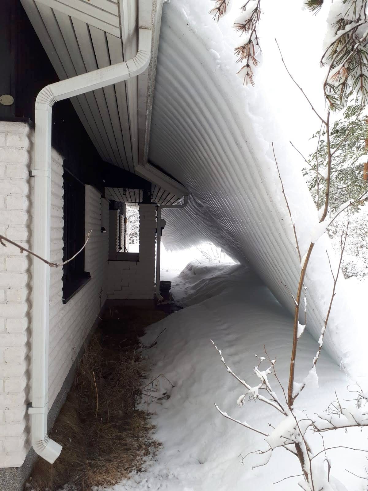 Luonnonluoma koronasuoja. Erikoiset talven säät ovat saaneet aikaan erikoisia lumimuodostumia Kurenalla.