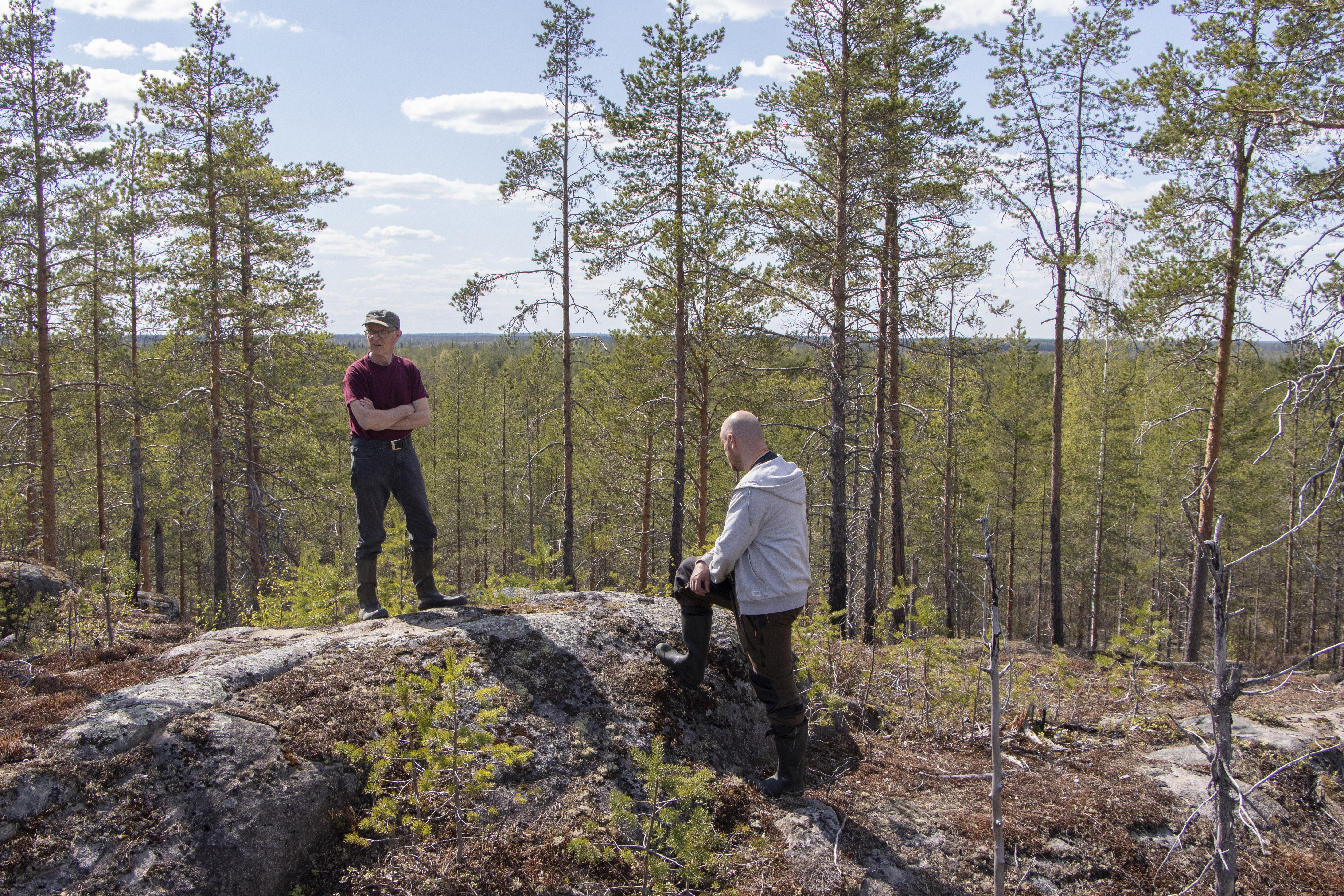 Pellikaisensuo on jo suojeltu, nyt suojelualuetta ollaan laajentamassa yli kaksinkertaiseksi, mikäli valtuusto näin päättää. Suojellun Pellikaisensuon laitamilla sijaitseva Korkiakallio on maisemallisen helmi, joka on pysynyt piilossa myös monelta piipposelta. Antero Autio ja Hannu Komu Piippolan korkeimpiin kuuluvalla paikalla, jossa sijaitsi myös yksi maan kolmimittaustorneista.