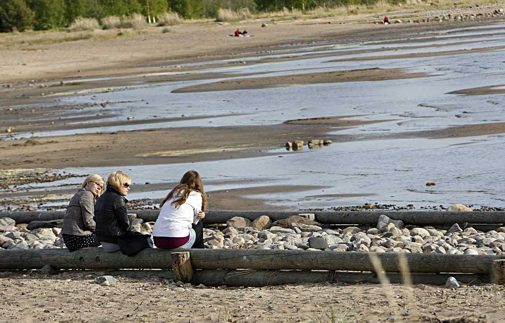 Nallikarin ongelmia ovat vesialueen mataloituminen, veden huono laatu ja hiekan leviäminen ympäristöön, rannan eroosio ja rantarakenteiden heikko kunto sekä leikkivälineiden vähyys.