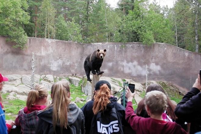 Videon stillkuvassa on Otsonkoulun oppilaita Ähtäri Zoon karhuaitauksen luona. KUVA: ÄHTÄRI ZOON LUOKKARETKIVIDEO