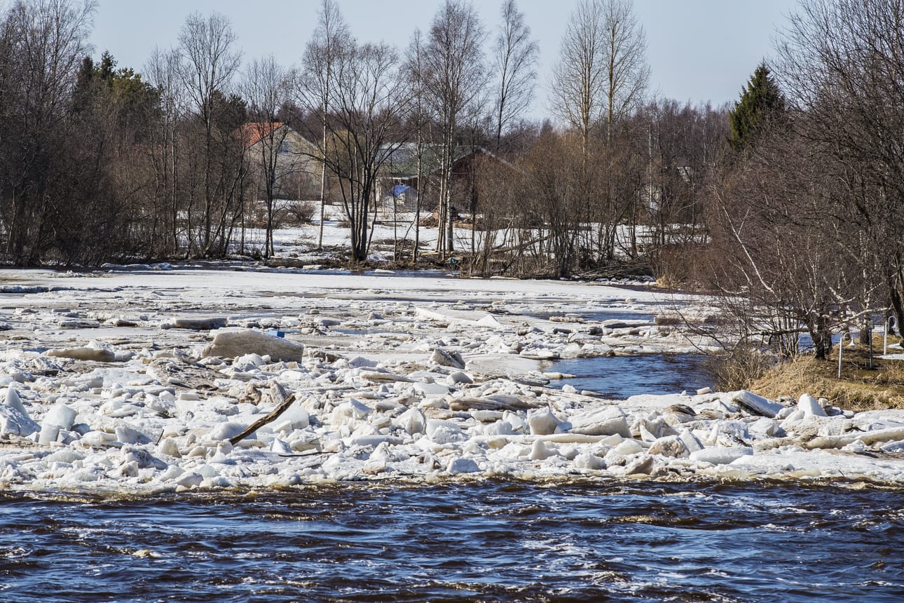 Pyhäjoen kevättulva