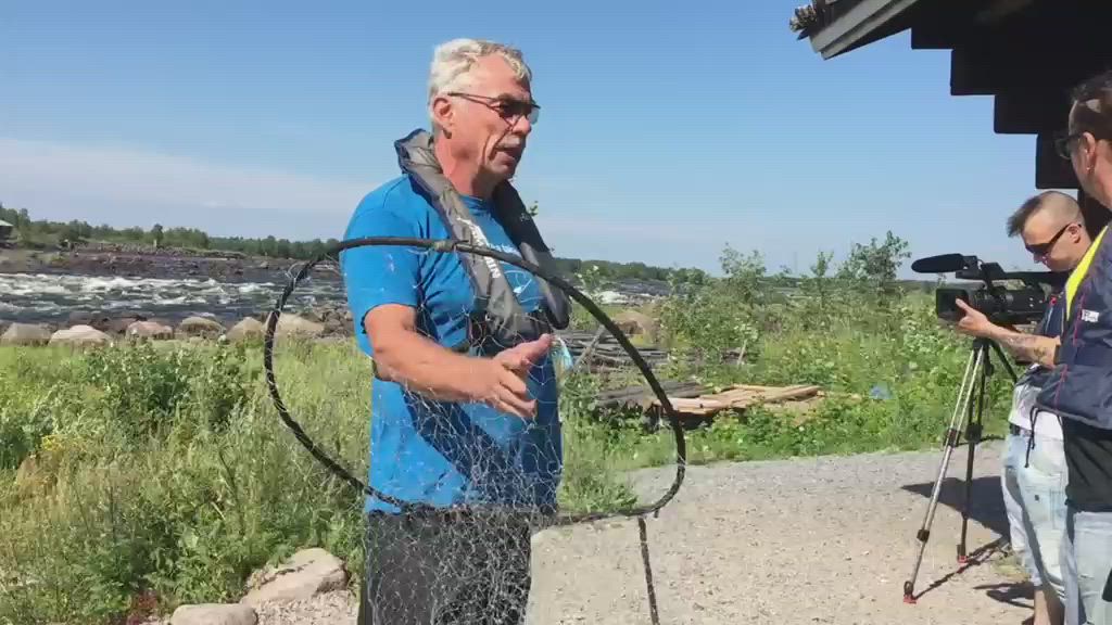 Lippoa oma siika Tornionjoella