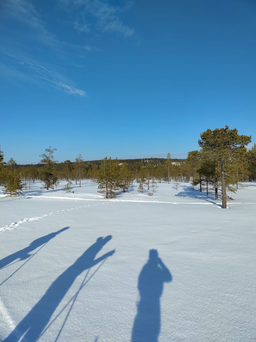 Sotkajärvellä hiihdettiin aurinkoisessa kevätsäässä.