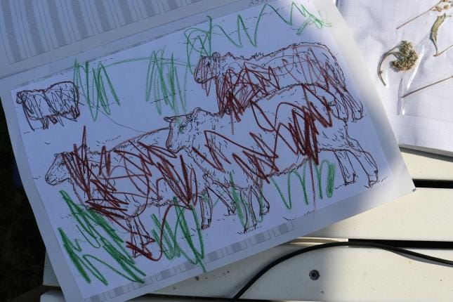 Autistisen lapsen äiti on huomannut koulun tehtävävihkoista 12-vuotiaalla lapsellaan teetettävän esikoulutasoisia tehtäviä. KUVAT: LEENA NYYSTI