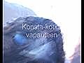 Konsta-kotka lensi vapauteen