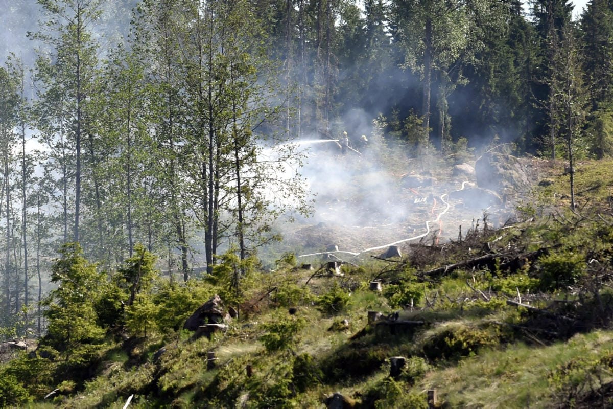 Lauantaina metsäpalovaroitus on voimassa seitsemässä eteläisessä maakunnassa. Kuva Loviisasta vuodelta 2018. LEHTIKUVA / JUSSI NUKARI