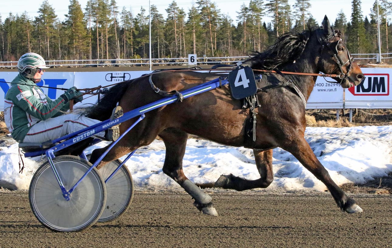 Markku Rannan ajama Appesnabb esiintyi Torniossa suoraan tauolta sen verran ryhdikkäästi, että saa toimia Mäntyvaarassa vihjeeni varmana.