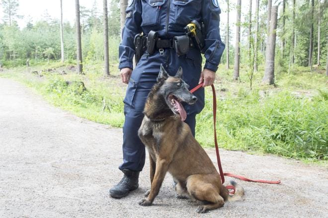 Poliisi ei pidä todennäköisenä Ruotsissa tapahtuneen kaltaista jengien yhteenottoa Suomessa. KUVA: Kimmo Penttinen