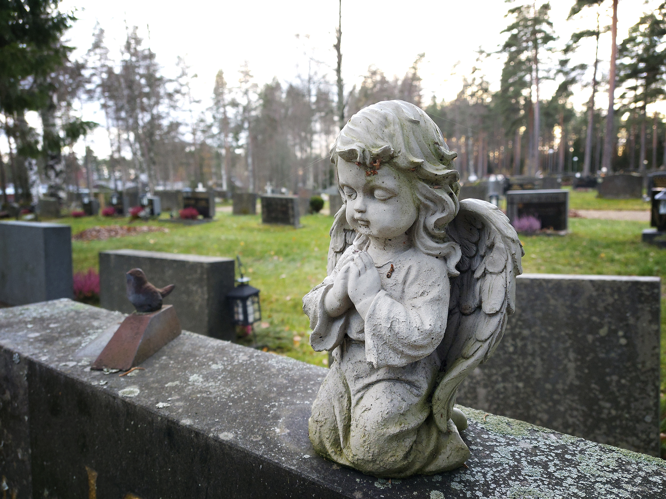 "Minä kaipaan Sinua, Ystäväni" – tällainen oli Seppo Järvisen viimeiseksi jäänyt joulukirje 